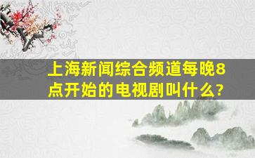 上海新闻综合频道每晚8点开始的电视剧叫什么?