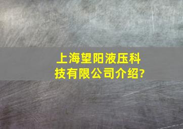 上海望阳液压科技有限公司介绍?