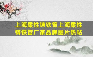 上海柔性铸铁管上海柔性铸铁管厂家、品牌、图片、热帖