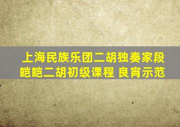 上海民族乐团二胡独奏家段皑皑二胡初级课程 《良宵》示范