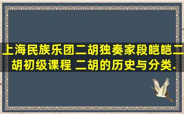 上海民族乐团二胡独奏家段皑皑二胡初级课程 二胡的历史与分类...