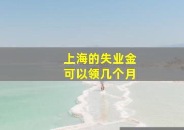 上海的失业金可以领几个月