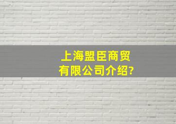 上海盟臣商贸有限公司介绍?