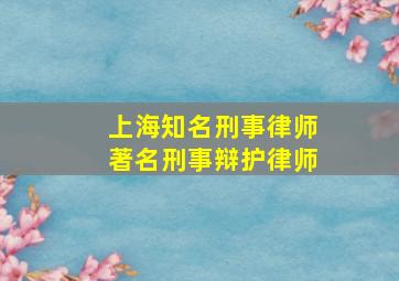 上海知名刑事律师著名刑事辩护律师