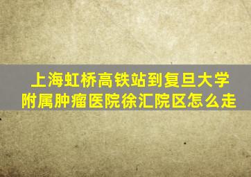 上海虹桥高铁站到复旦大学附属肿瘤医院徐汇院区怎么走