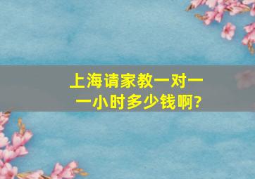 上海请家教一对一一小时多少钱啊?