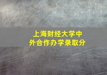 上海财经大学中外合作办学录取分