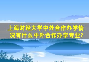 上海财经大学中外合作办学情况有什么中外合作办学专业?