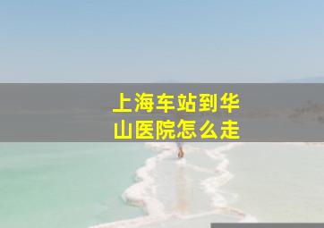 上海车站到华山医院怎么走