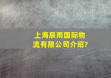 上海辰雨国际物流有限公司介绍?