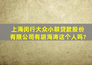 上海闵行大众小额贷款股份有限公司有胡海涛这个人吗?