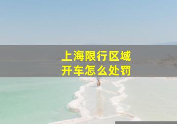 上海限行区域开车怎么处罚