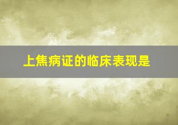 上焦病证的临床表现是()