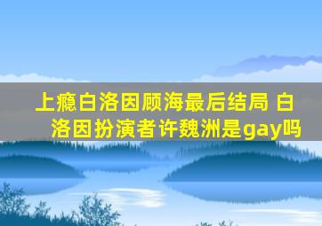 上瘾白洛因顾海最后结局 白洛因扮演者许魏洲是gay吗