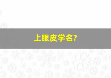 上眼皮学名?