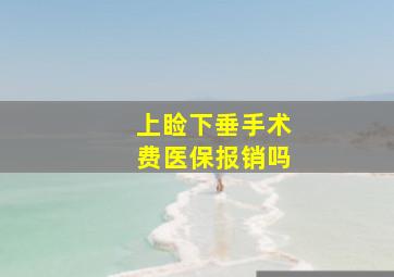 上睑下垂手术费医保报销吗