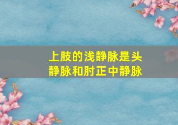 上肢的浅静脉是头静脉、()和肘正中静脉。