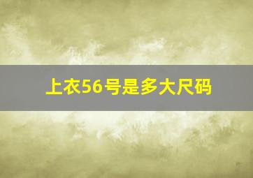 上衣56号是多大尺码