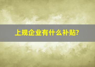 上规企业有什么补贴?