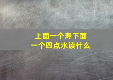 上面一个寿下面一个四点水读什么