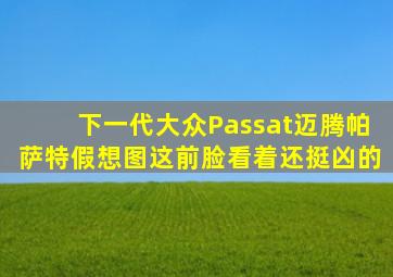 下一代大众Passat(迈腾、帕萨特)假想图,这前脸看着还挺凶的。