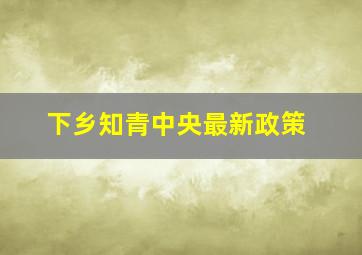 下乡知青中央最新政策