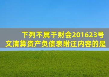 下列不属于财会【2016】23号文清算资产负债表附注内容的是。