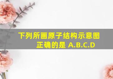 下列所画原子结构示意图正确的是( )A.B.C.D