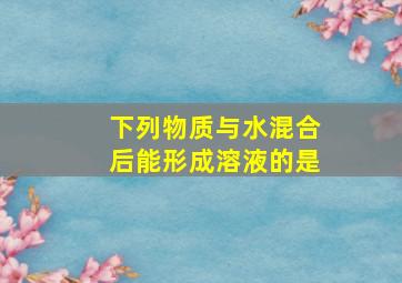 下列物质与水混合后能形成溶液的是