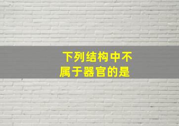 下列结构中,不属于器官的是( )