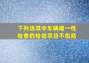 下列选项中,车辆唯一性检查的检验项目不包括()。