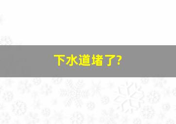 下水道堵了?