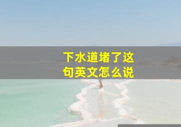 下水道堵了这句英文怎么说