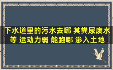 下水道里的污水去哪 其粪尿废水等 运动力弱 能跑哪 渗入土地和待在...