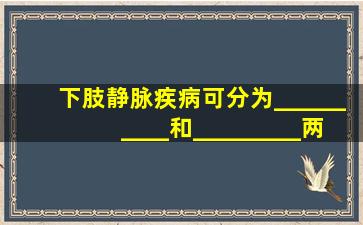 下肢静脉疾病可分为__________和_________两类。