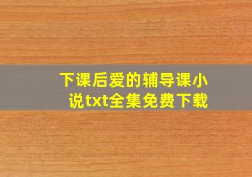 下课后爱的辅导课小说txt全集免费下载