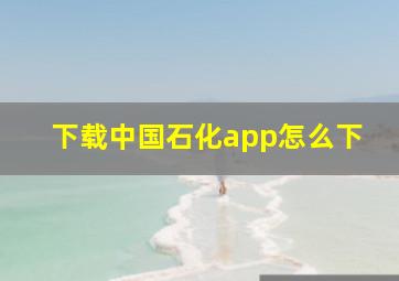 下载中国石化app怎么下