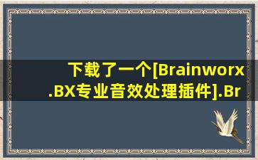 下载了一个[Brainworx.BX专业音效处理插件].Brainworx.BX.DynEQ....