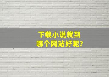 下载小说就到哪个网站好呢?