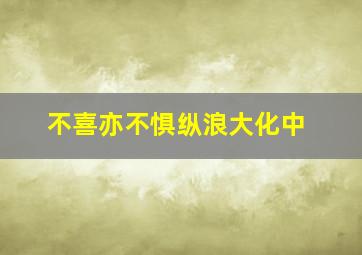 不喜亦不惧纵浪大化中