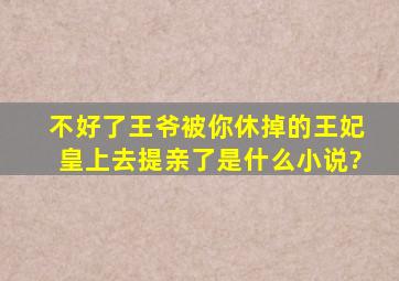 不好了王爷,被你休掉的王妃,皇上去提亲了是什么小说?