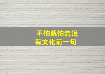 不怕就怕流氓有文化前一句 