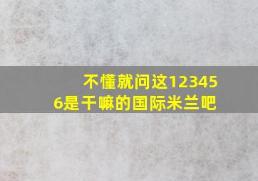 不懂就问,这123456是干嘛的【国际米兰吧】 