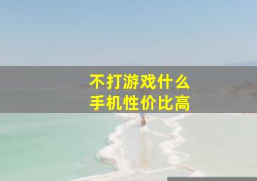 不打游戏什么手机性价比高