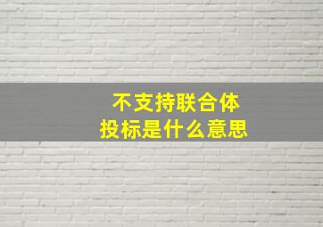 不支持联合体投标是什么意思