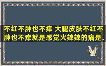 不红不肿也不痒 大腿皮肤不红不肿也不痒,就是感觉火辣辣的痛。是...