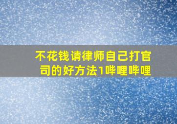 不花钱请律师自己打官司的好方法1哔哩哔哩