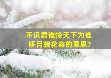 不识君谁怜天下,为谁妍月貌花容的意思?