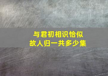 与君初相识恰似故人归一共多少集