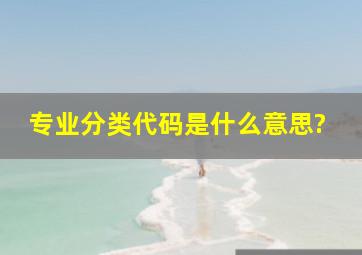 专业分类代码是什么意思?